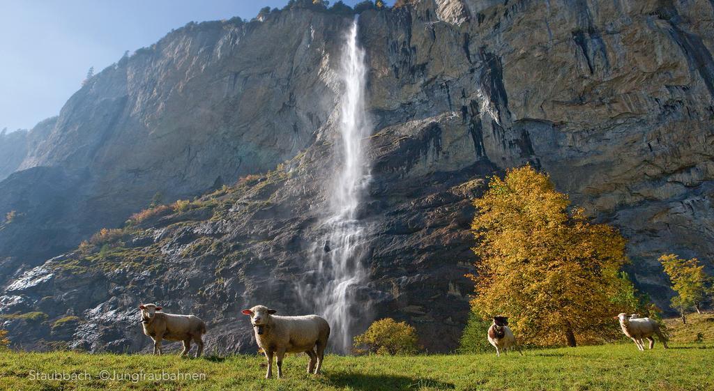 Camping Jungfrau Lauterbrunnen Kültér fotó