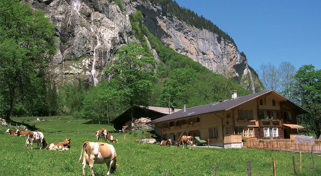 Camping Jungfrau Lauterbrunnen Kültér fotó